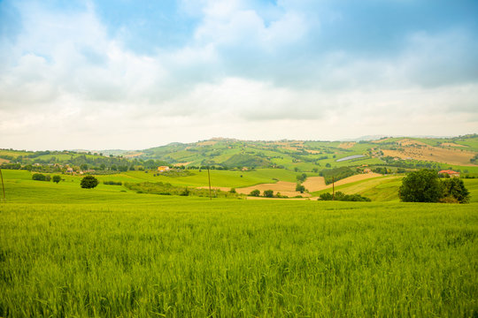 Rural Landscape at summer fields in Italian province of Ancona, Italy