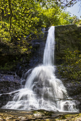 Fototapeta na wymiar A waterfall in 