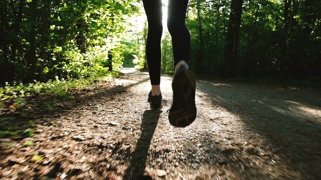 Running female legs in sneakers in summer close-up. Woman running in the woods at sunset, slow motion