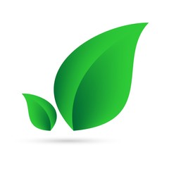 Eco icon from green leaves side by side on a white background with gray shadow on the bottom. Abstract design natural 