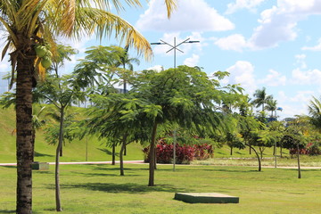 parque