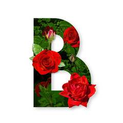 Letter B of the alphabet with red roses on white background