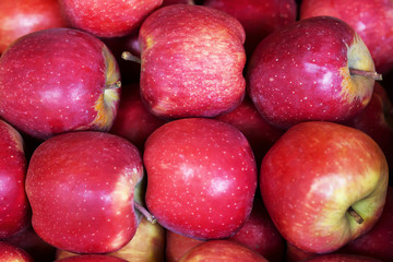 apples on the counter, close-up