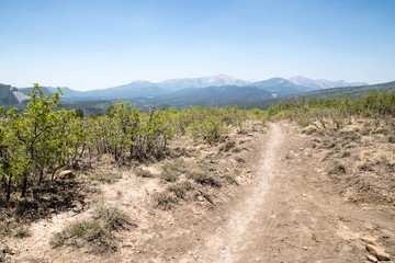 Fototapeta na wymiar Animas Mountain Trail in Durango, Colorado
