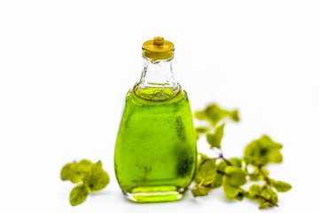 Greed colored floral and medicinal essence of Mint or peppermint or phudina in a transparent bottle...