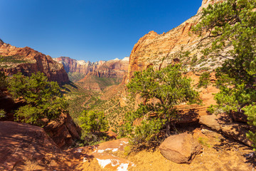 The view of Zion Canyon from the Canyon Overlook location.