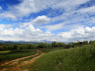 Paisaje con camino de arena y cielo de nubes blancas
