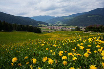 Obraz premium Landschaft in Südtirol