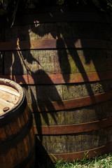 Old wooden barrel in the tree shade in the garden with smaller barrel on the side