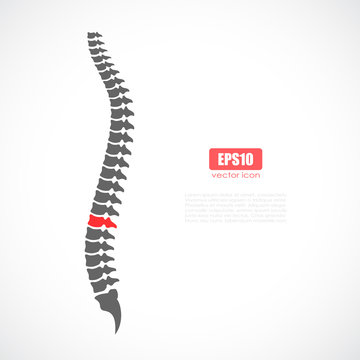 Spine pain vector icon