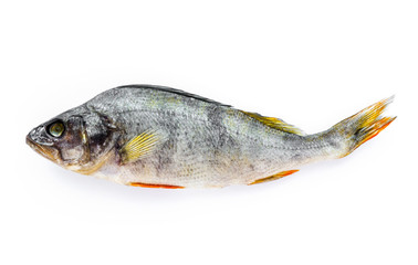 Dried Fish.