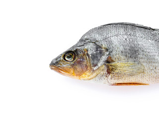 Dried Fish.