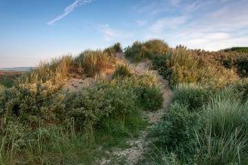 Obraz premium A path leading a small sand dune at sunrise in the south of England