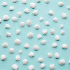 Top view of seashell set with copy space on color background..Summer, holiday,travel concept