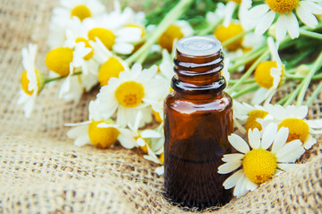 Chamomile extract.