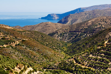 Fototapeta na wymiar Hills covered with olive groves and seascape of the Mediterranean Sea in Crete, Greece