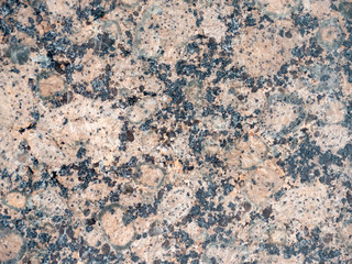 Abstract Texture Background 