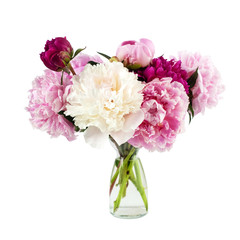Peony bunch isolated on white background