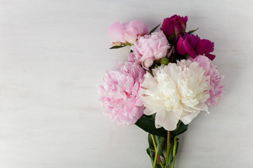 Beautiful pink Peonie flower on light background