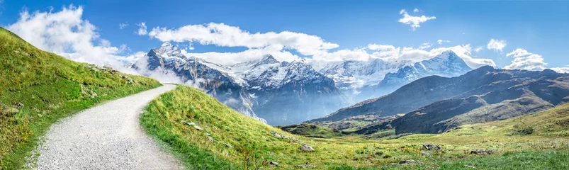 Keuken foto achterwand Pistache Zwitserse Alpenpanorama in de zomer