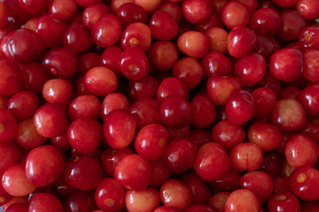 Close up of Cherries