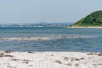 View from Skodshoved Strand and Aarhus. Denmark