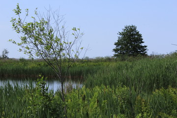 peaceful place near lake