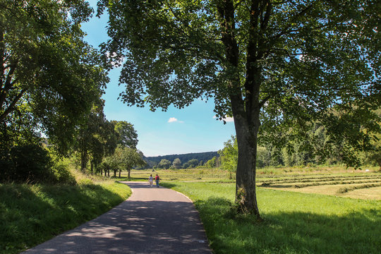 A beautiful summer landscape / A walk among meadows and fields