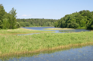 Summer landscape with a river on a Sunny day