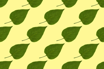 Seamless texture: leaves of lilac on yellow background