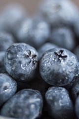 Wet fresh Blueberry background. Studio macro shot