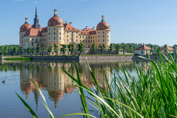 Fototapeta na wymiar Barockschloss Schloss Moritzburg, Moritzburg, Sachsen, Deutschland, Wasserschloss