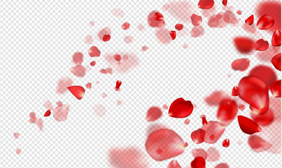 Falling Red rose petals on a transparent background.Vector illustration