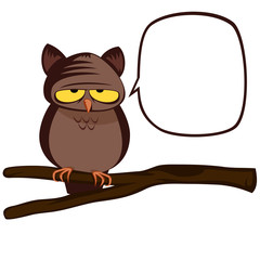 Funny owl