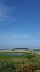 Fototapeta na wymiar Lake in green fields under blue sky with copy space