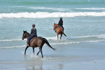 Des chevaux qui s'entraînent sur une plage en Bretagne