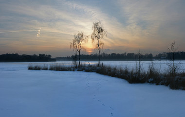Fototapeta na wymiar two birches next to a frozen lake on an extreme cold day in winter