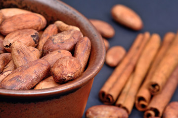 Cacao beans in a cup and cinnamons on blue background