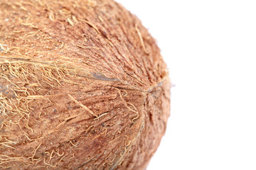 Coconut fruit isolated on a white background.