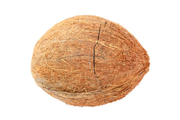 Coconut fruit isolated on a white background.