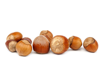 Hazelnut on a isolated on white background