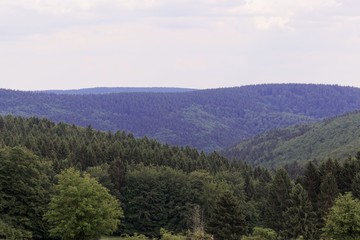 Landscape in the Vessertal a part of the Thuringian Forest Nature Park in Germany