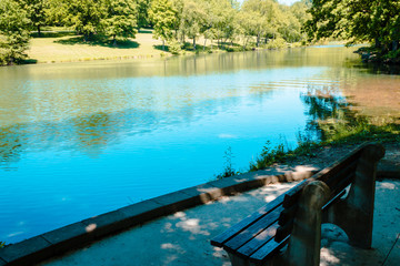 Bench looking out over a small lake on a summer day