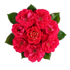 Bouquet of many red roses isolated on white. Flat lay view.
