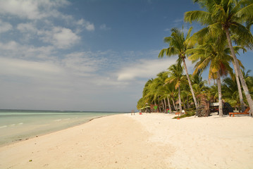 Travel Nature Vacantion Holiday Tourist