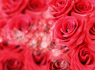 Red roses with bokeh, flower bright background.