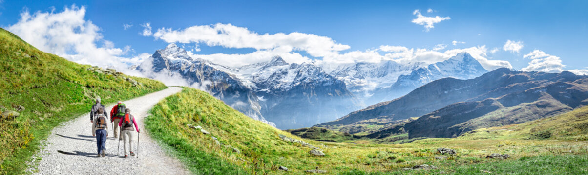 Fototapeta Grupowe wędrówki po Alpach Szwajcarskich jako tło panoramiczne
