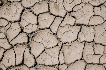dry earth