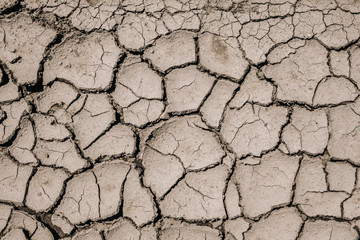 dry earth