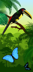 Vector Jungle rainforest vertical baner with pale-mandibled aracari toucanet and morpho butterflies